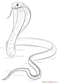 How To Draw A King Cobra Step By Step Drawing Tutorials Snake Drawing Drawing Tutorial Snake Coloring Pages