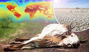 Image result for global warming photos
