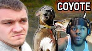 ANALYZING THE STORY OF CASPER, THE COYOTE KILLER