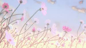 Pink transparent gif aesthetic : In Which Husbands Kim Seokjin And Kim Namjoon Kidnap Timid Highscho Fanfiction Fanfiction Amreading Boo Anime Background Gif Background Anime Scenery