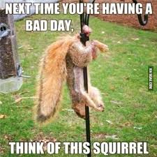 19 Very Funny Cheer Up Meme That Make You Laugh Memesboy Pictures to cheer someone up. 19 very funny cheer up meme that make