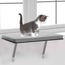 Make a mark 1 inch down from one of the intersections. Mosunx Cat Window Perch Cat Rest For Window Easy Set Up Diy Kitty Sill Mounted Shelf Bed For Pets House Pets Furniture Sturdy Couch Gray 23 6 X 11 8 X 11 4 Inches 60x30x29cm Pricepulse