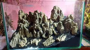 Batu pasir atau yang biasa dikenal dengan sandstone. 37 Sandstone Youtube