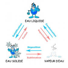 J'ai adapté un document trouvé sur le site d' illinois environmental protection agency. Cycle De L Eau Wikimini L Encyclopedie Pour Enfants