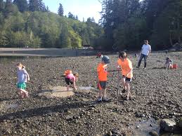 Backbone consists of 2,001 acres and is heavily wooded with a variety of tree species, predominantly oak and maple. Calling All Beach Bums Wade Into The South Sound Beach Scene