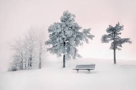 خلفيات فصل الشتاء بجودة Hd رائعة Fotografia De Invierno Fotografia De Nieve Paisaje Invernal