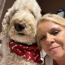 How to train a dog that's not interested in treats?