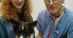 Belmont pet hospital's profile is incomplete. Belmont Pet Hospital 539 Harbor Blvd Belmont Ca 94002 Yp Com