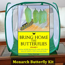 Monarch Butterfly Kits To Raise Caterpillars Into Butterflies Monarch Butterfly Garden Butterfly Kit Monarch Butterfly