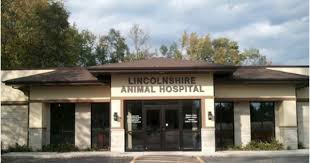 Lincolnshire Animal Hospital Lincolnshire Il Lincolnshire Find Real Estate Amazing Spaces