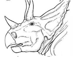 Triceratops face painting, flickr, photo sharing! Dinosaur Coloring Pages Page 3