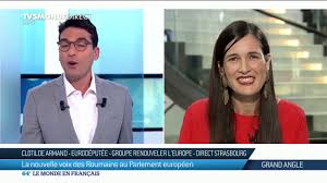 Clotilde armand est une cheffe cuisinier qui est la fille de auguste armand. Clotilde Armand La Nouvelle Voix Des Roumains Au Parlement Europeen Youtube