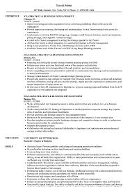 Our cv examples will give you inspiration on how to design the right cv for the job. Strategy Business Development Resume Samples Velvet Jobs