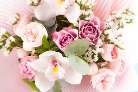 We have been in hollywood for 13 years. Tatianas Flowers Best Florist Pembroke Pines Fl Same Day Delivery