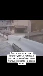 ▷ leash - funny pictures and r34 on JoyReactor