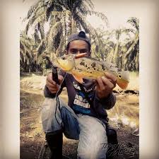 Kelapa sawit terdiri daripada dua spesies arecaceae atau famili palma yang digunakan untuk pertanian komersil dalam pengeluaran minyak kelapa sawit. Misi Mengeluarkan Pb Dari Ladang Kelapa Sawit Hehe Cast Flickr