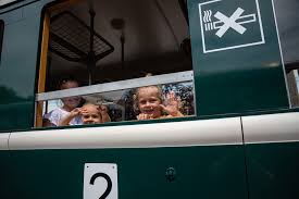 A zsuzsi erdei vasút nonprofit kft. Ujra Megy A Zsuzsi Vonat Kattognak A Kerekek Dvrt