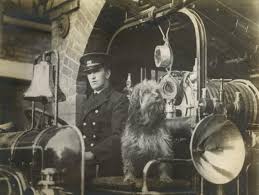 Staffordshire Past Track