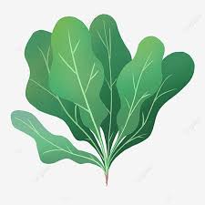 Kumpulan gambar tentang gambar kartun sayuran, klik untuk melihat koleksi gambar lain di kibrispdr.org Otf0soh 7cpsjm