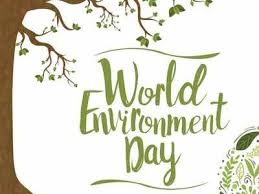 (2) in dos systems, the environment is an area in memory that the operating system and other programs use to store various types of miscellaneous information. World Environment Day 2021 History Significance And All You Need To Know Times Of India