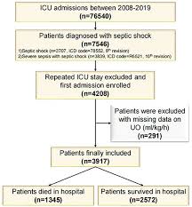Image result for Urine Output