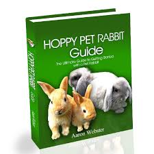 Ct breeder also offers the following designer puppies for sale: Connecticut Rabbit Breeders Usa Rabbit Breeders