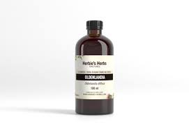 Image result for Oldenlandia cana