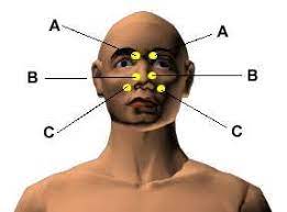 Acupressure Points For Relieving Sinus And Hay Fever Acupressure Acupressure Points Acupressure Points For Headache