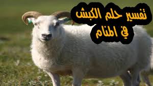 رؤية خلع النقاب في منام المرأة المتزوجة. Ø§Ù„ÙƒØ¨Ø´ Ù„Ù„Ù…ØªØ²ÙˆØ¬Ø© ÙÙŠ Ø§Ù„Ù…Ù†Ø§Ù… ØªÙØ³ÙŠØ± Ø­Ù„Ù… Ø§Ù„ÙƒØ¨Ø´ Ù„Ù„Ù…Ø±Ø£Ø© Ø§Ù„Ù…ØªØ²ÙˆØ¬Ø© ÙˆØ§Ù„Ø¹Ø²Ø¨Ø§Ø¡ ÙˆØ§Ù„Ø­Ø§Ù…Ù„ Youtube