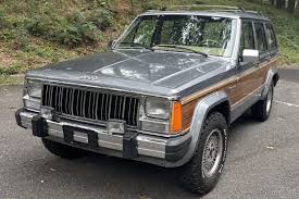 Image result for Dark Silver 1991 Monaco