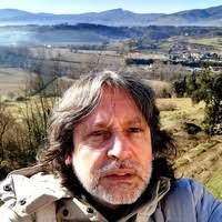 PDF) Environment and Urbanization in Modern Italy