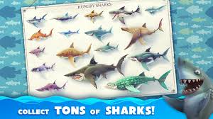 Jump there to find it! Hungry Shark For Android Apk Download