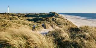 Ubbo weiß um die qualitäten klaasens, aber auch um ihre schwächen. Ostfrieslandurlaub Auf Den Ostfriesischen Inseln Und Der Nordseekuste
