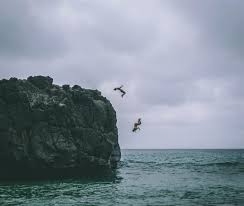 Terry Farber Eliasaf