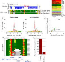 Addition and removal of histone modifications is carried out by enzymes called writers and erasers. Accurate Imputation Of Histone Modifications Using Transcription Biorxiv