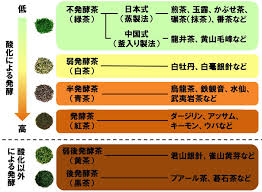 お茶の分類 お茶の知識 三井農林 お茶科学研究所