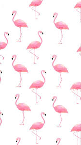 Loreeehh Flamingo Wallpaper Cellphone Wallpaper Cute Patterns Wallpaper
