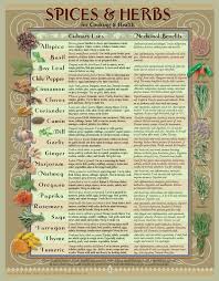 healing herbs spices kitchen chart