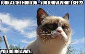 40 farewell memes ranked in order of popularity and relevancy. Farewell Goodbye Funny Grumpy Cat Memes Grumpy Cat Meme Grumpy Cat