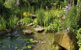 Garten garten landschaftsbau pflanzen bepflanzung garten ideen vorgarten garten planen garten gestalten garten gestalten ideen. Biotop Im Garten Anlegen Umfassende Tipps Fur Das Natur Gewasser