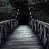 , black wood hd desktop wallpaper widescreen high definition 1920×1200. Https Encrypted Tbn0 Gstatic Com Images Q Tbn And9gcrkpmoit7 Xbpg Iait7n Wyuaob Fgilkodpxaceabbi1tvek0 Usqp Cau