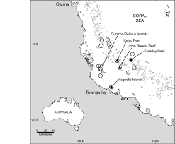 The below map can show you where your hotel is located or help you plot your entire adventure starting with the airport gateways to the great barrier getting to the reef. Map Of Sites In The Central Section Of The Great Barrier Reef Surveyed Download Scientific Diagram
