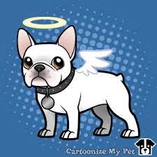 Cartoonize My Pet French Bulldog Cartoon Bulldog Cartoon French Bulldog Art