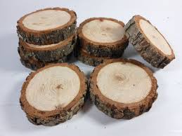 Pecan Branch Slices 8 Real Wood Log Sections 1 3 4 2 Inch Etsy Wood Slices Wood Logs Hickory