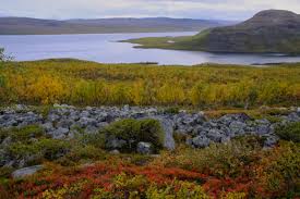 Das dreiländereck zwischen finnland, norwegen und russland hat eine ganz besondere bedeutung. Der Herbst Taucht Finnisch Lapplands Fjells In Ein Farbenmeer Thisisfinland