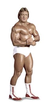 Paul orndorff is one of the few competitors that can say he has done so. Paul Orndorff Pro Wrestling Fandom