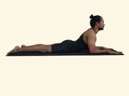Saral Bhujangasana Easy Cobra Posture Sphinx Posture Postures Yoga Training Yoga Postures