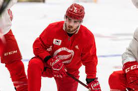 A current focus is on the development of novel, safer analgesics based on modifications (analogs) of naturally occurring opioids discovered in our laboratory (endomorphins). Detroit Red Wings Filip Zadina Ready To Go After Czech Republic Stint