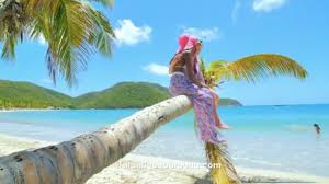 Add the lime juice and diced pineapple to a blender. Antigua News From The Black Pineapple To The Big Apple