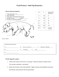 Notes From May 27 Anatomy For Demos